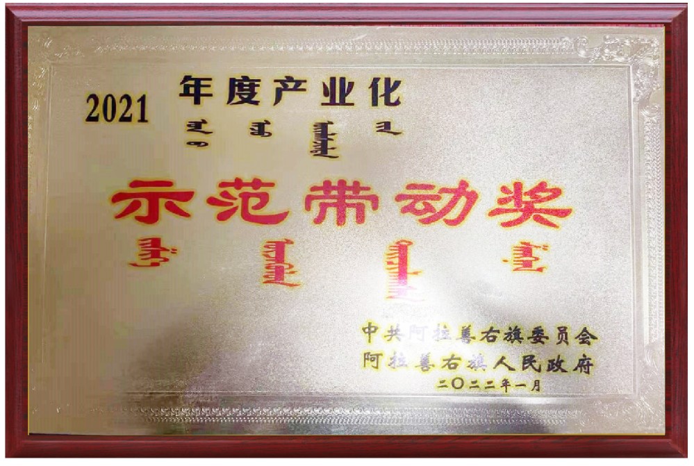 2021年度产业化示范带动奖