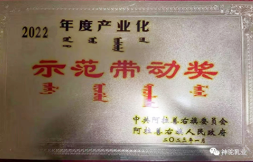 2022年度产业化示范带动奖