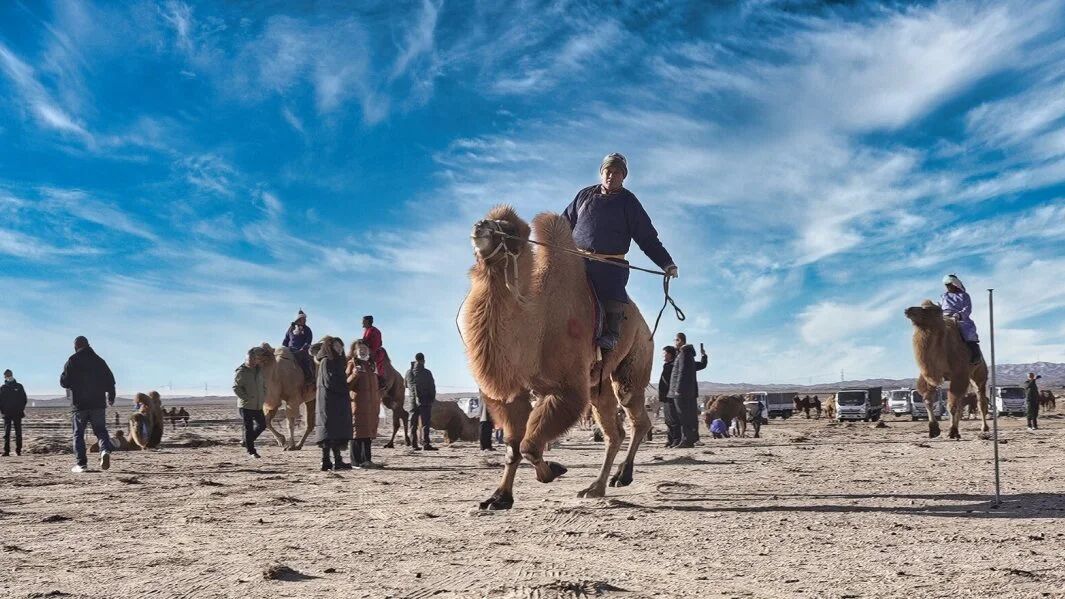 1763114569148417.jpg 微信图片_2025-11-14_180012_994.jpg