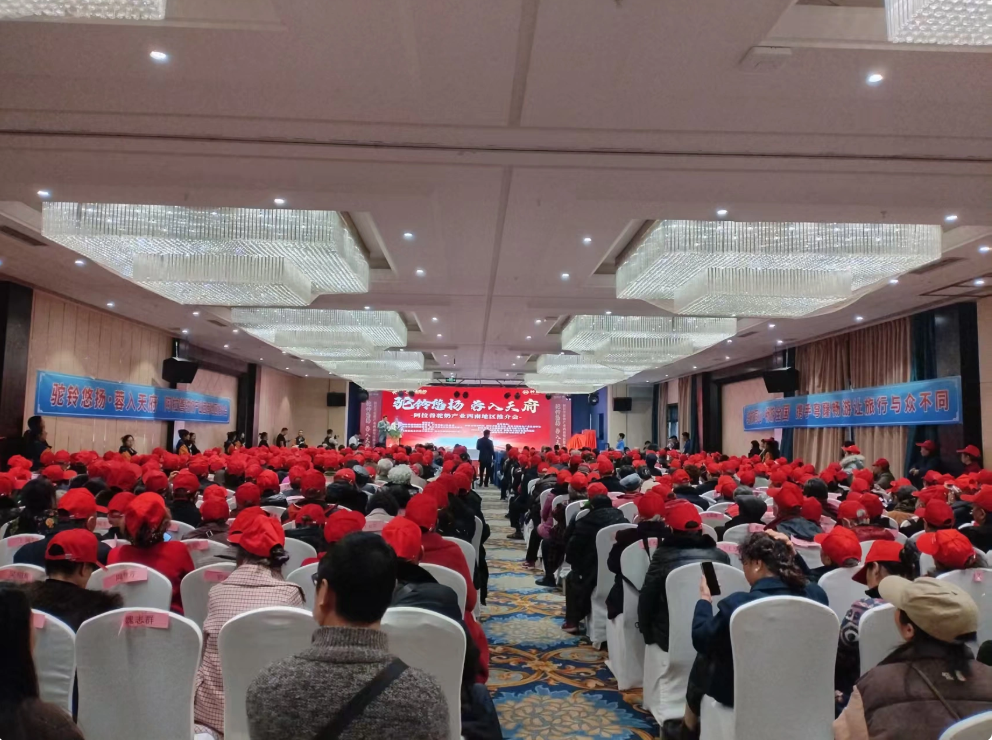 1765858127947463.png 633efd11-54b6-4ca2-b7aa-e1c0cfdc1d3d.png