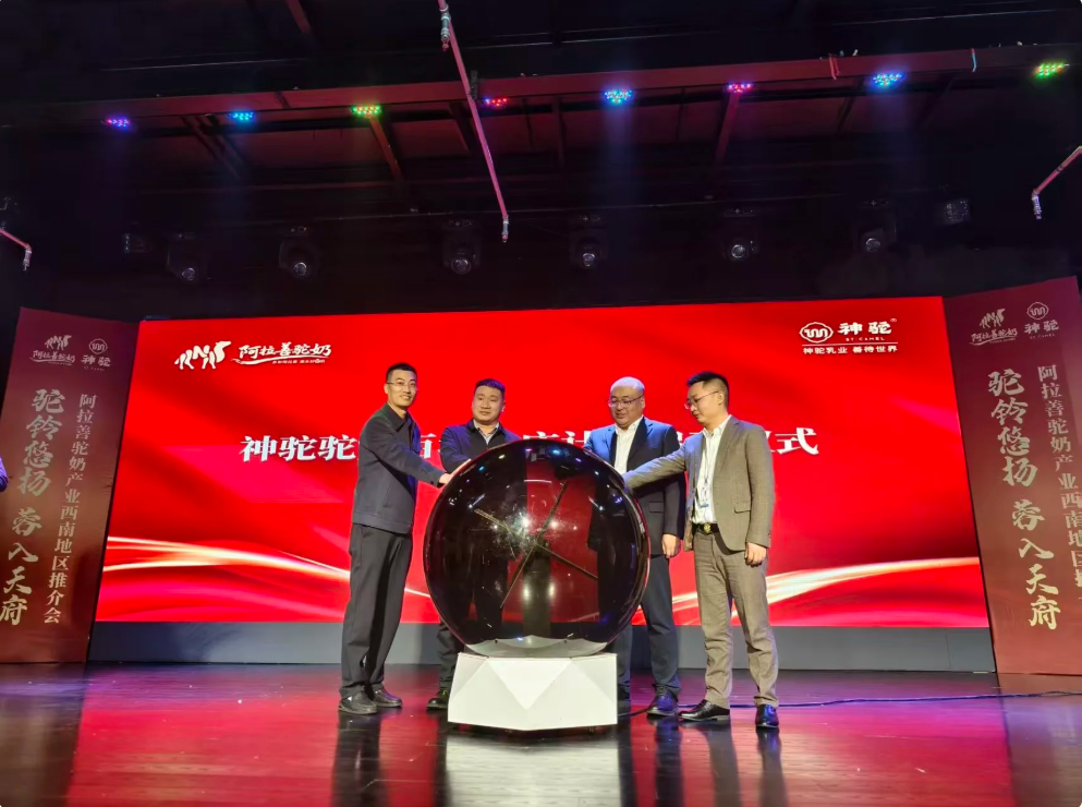 1765885387168821.png df16ae76-7320-44ea-aaa3-8e34464e8af2.png